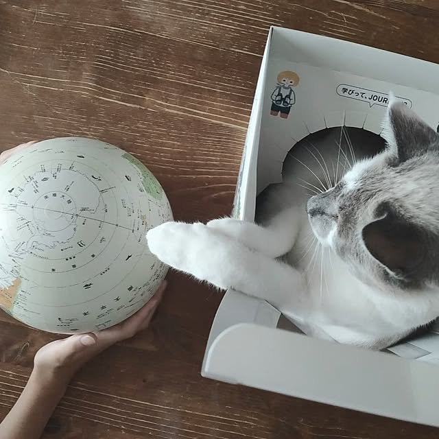 kaoriiiさんの部屋