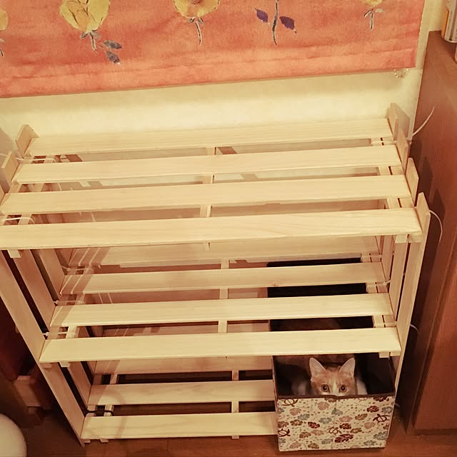 Kohanisutoさんの実例写真