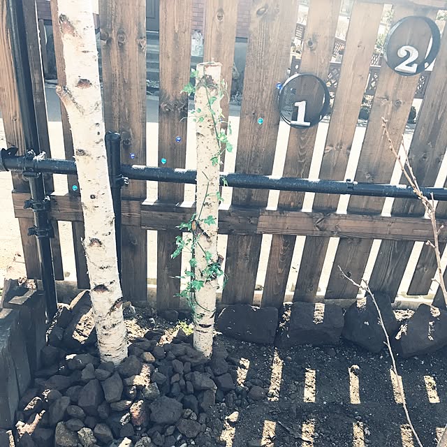 mami_1225a3さんの実例写真