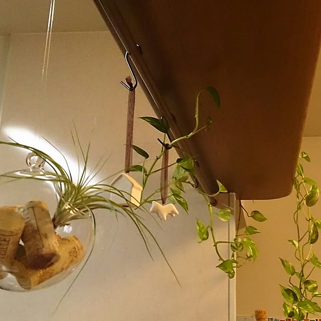 aochanさんの実例写真