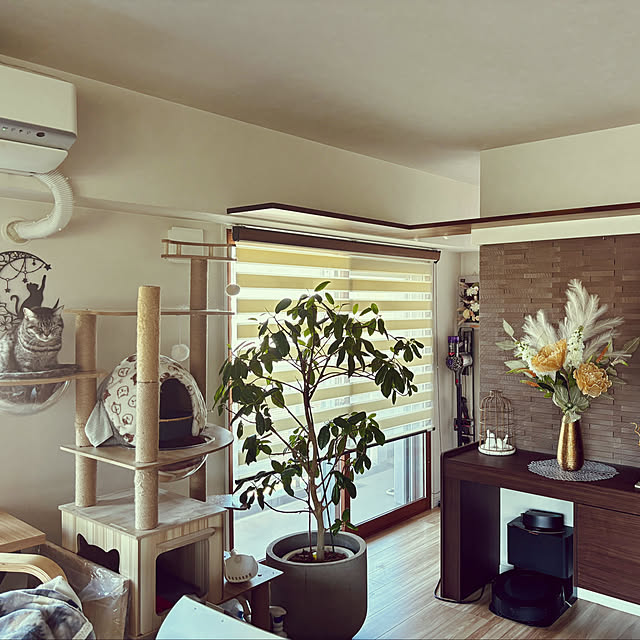 akimamさんの部屋