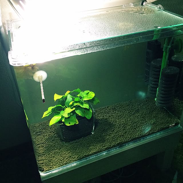 L.さんの実例写真