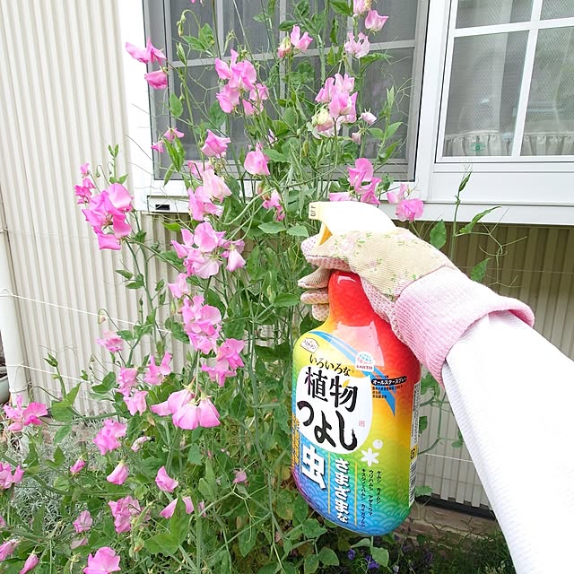 fleur-mamanさんの実例写真