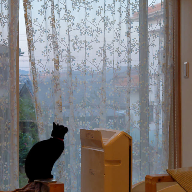 jacky-m-さんの実例写真