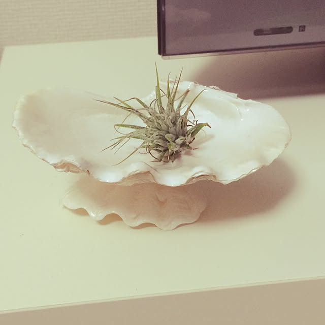 Rachelさんの実例写真