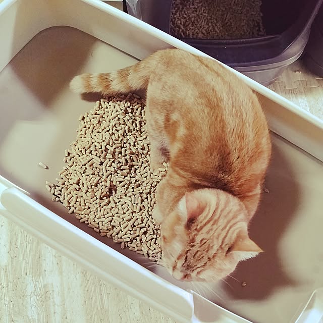 runaさんの部屋