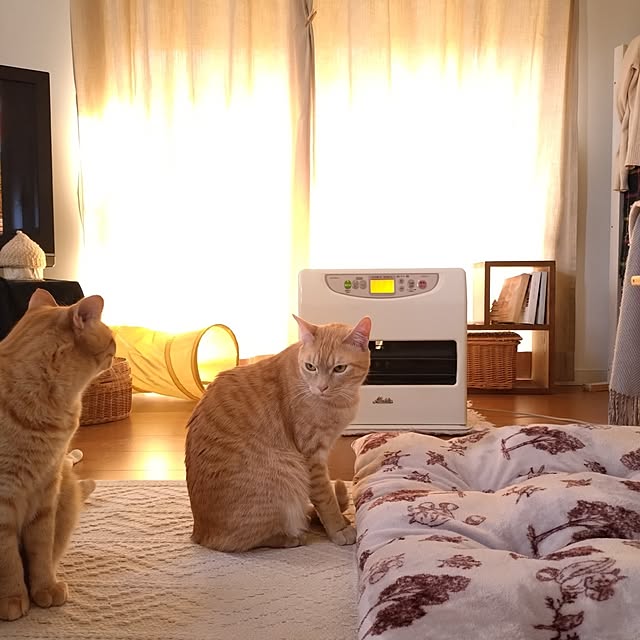 mayutan.さんの部屋