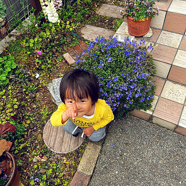 hinamamaさんの部屋