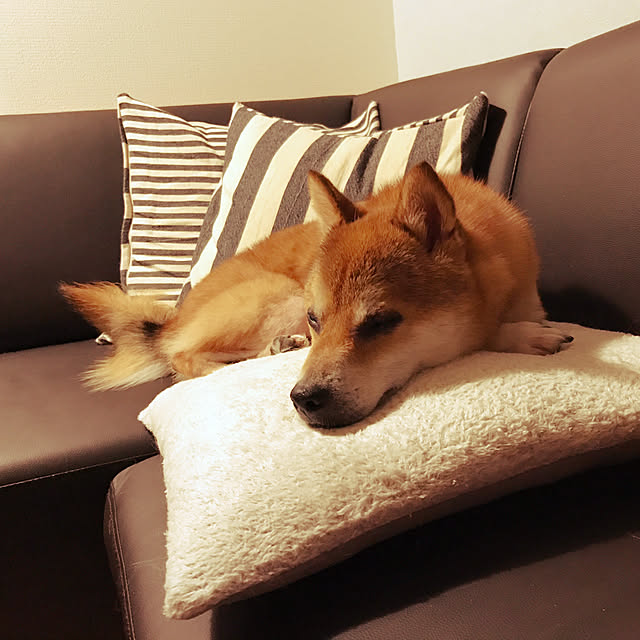 tomablaさんの実例写真