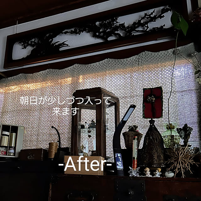 akaidarumaさんの部屋