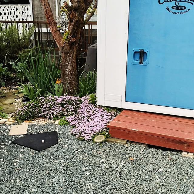 boston5757さんの実例写真