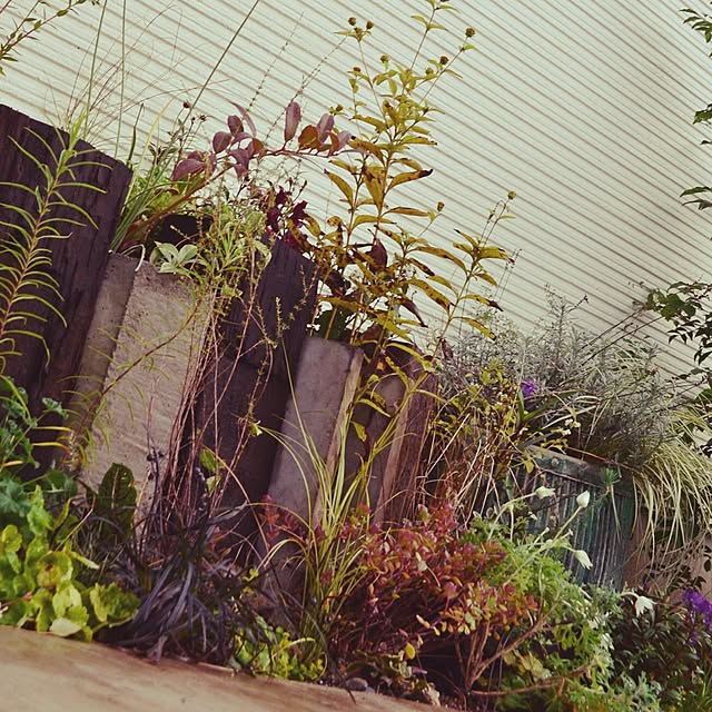 GreenWorksさんの実例写真
