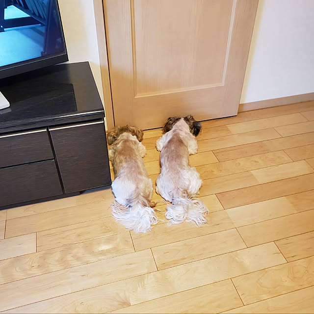 cocoさんの実例写真