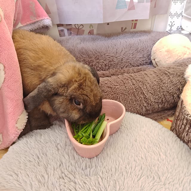 mariaさんの部屋