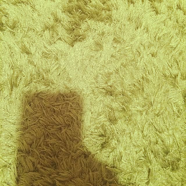 teteさんの実例写真
