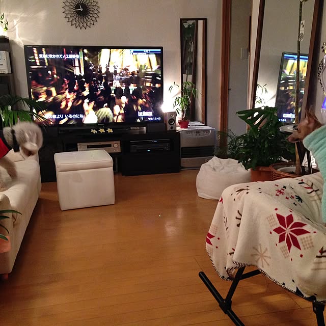 aoさんの実例写真