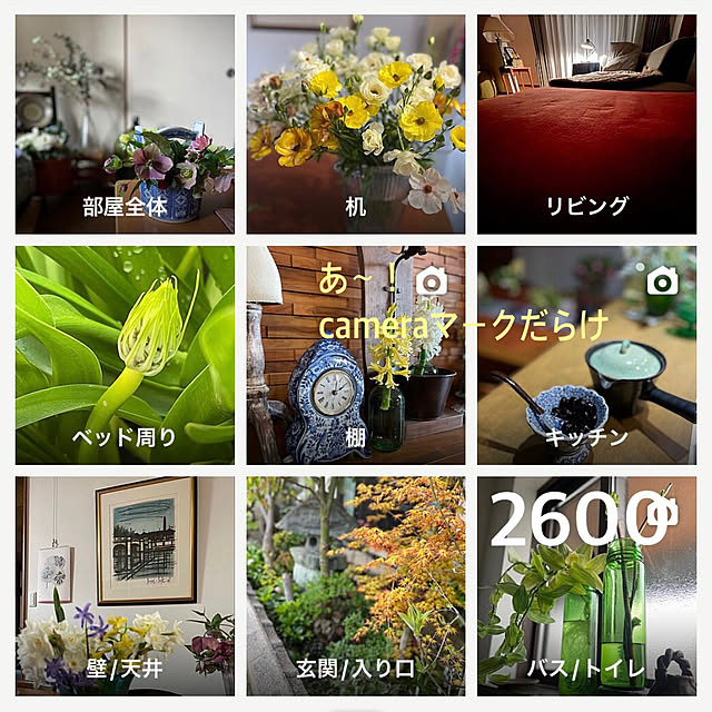 buchiさんの実例写真