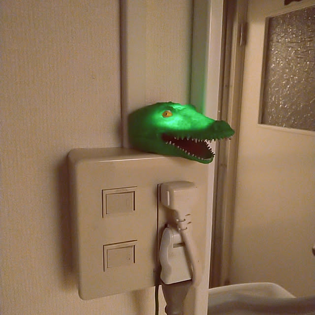 waniwaniさんの実例写真