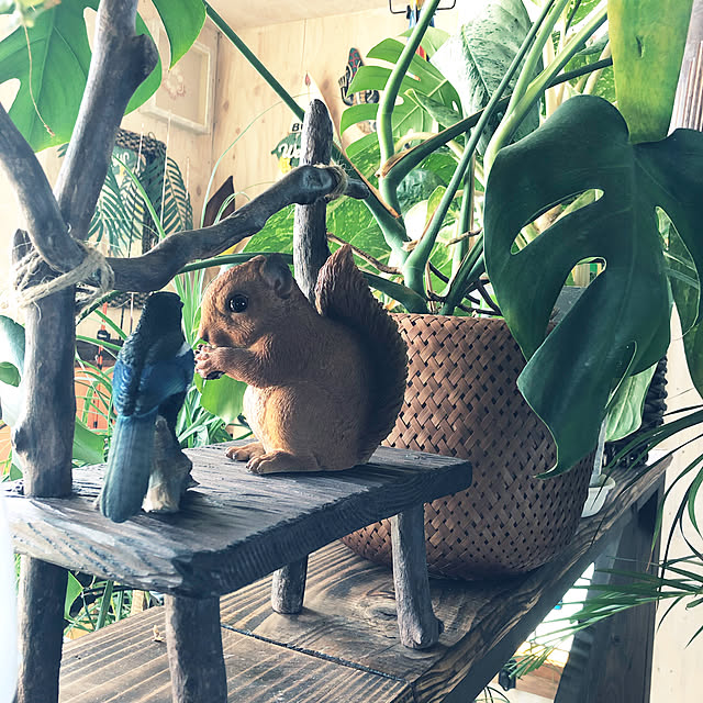 rikimaruさんの実例写真