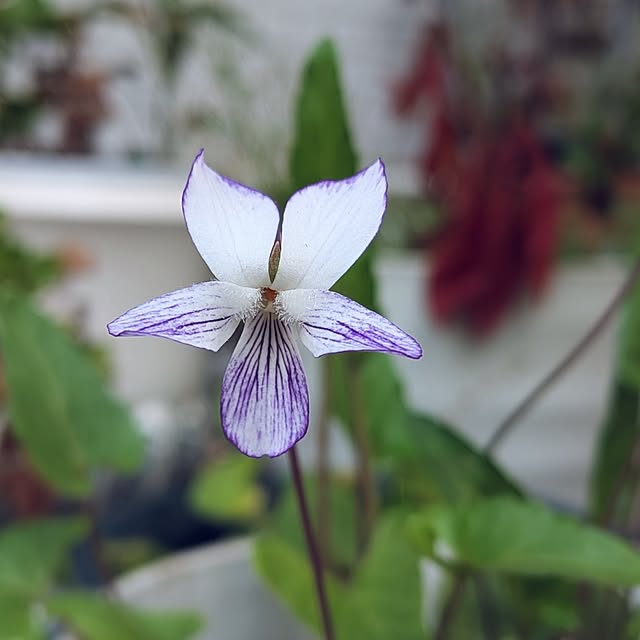 Bienvenueさんの実例写真