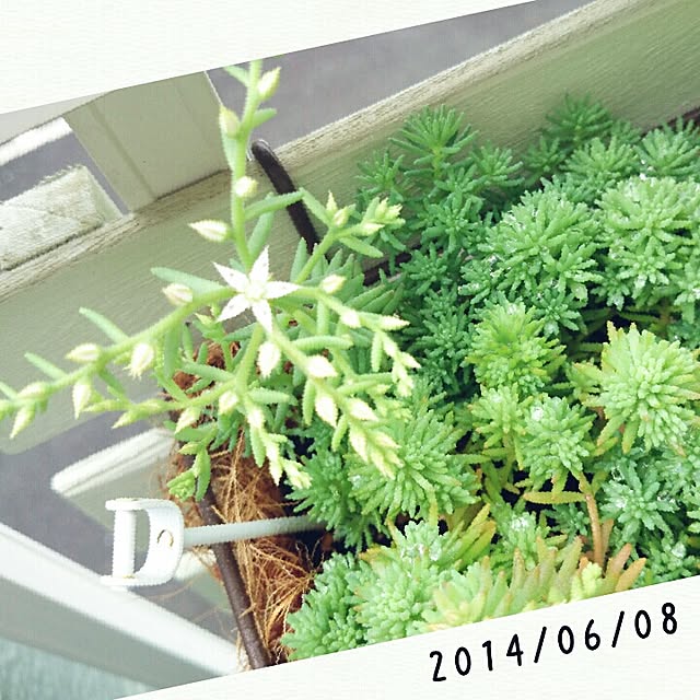 kira127さんの実例写真