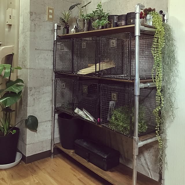 N-6.さんの実例写真