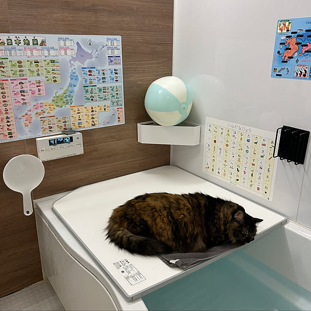 mikomaruさんの部屋
