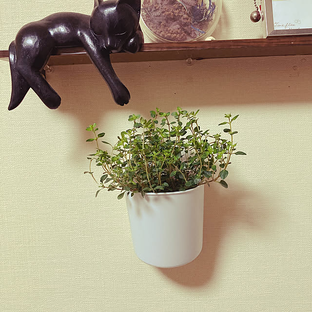 kuchinさんの実例写真