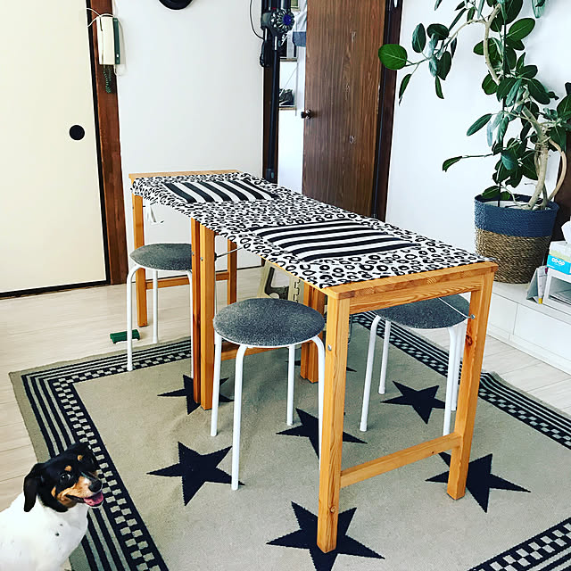 リビング/IKEA/無印良品のインテリア実例 - 2018-06-29 13:51:14