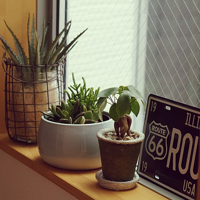 reiさんの実例写真