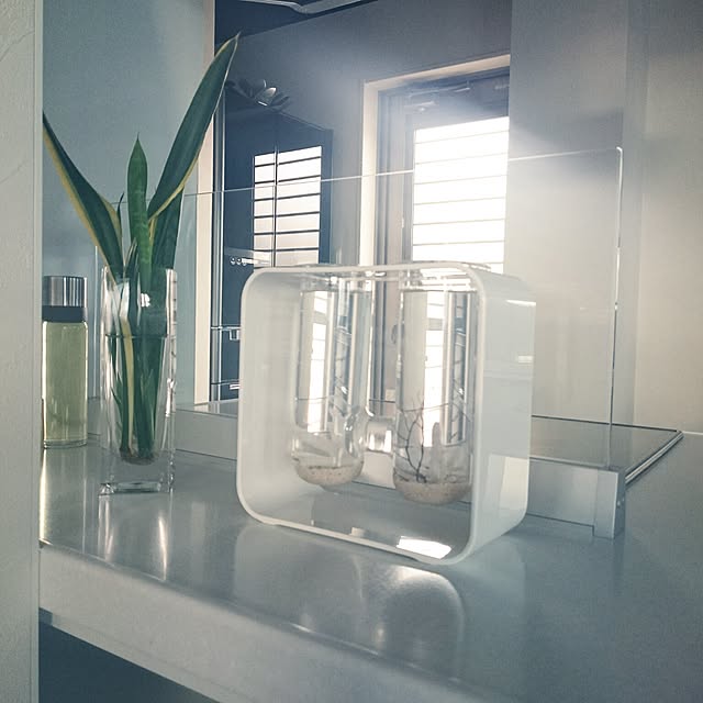 Bottega.Acqua.さんの実例写真