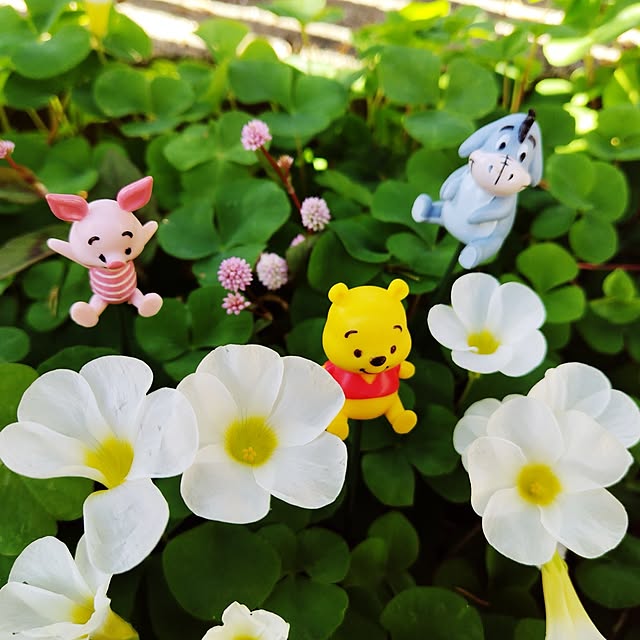 katさんの実例写真