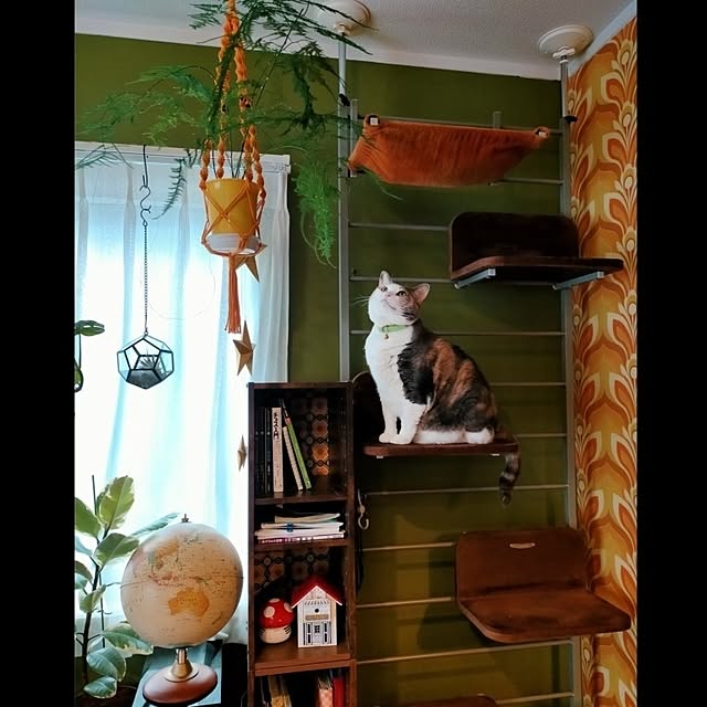 funnyfaceさんの実例写真