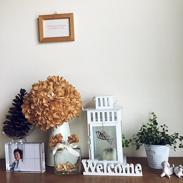 tokiiiiさんの実例写真