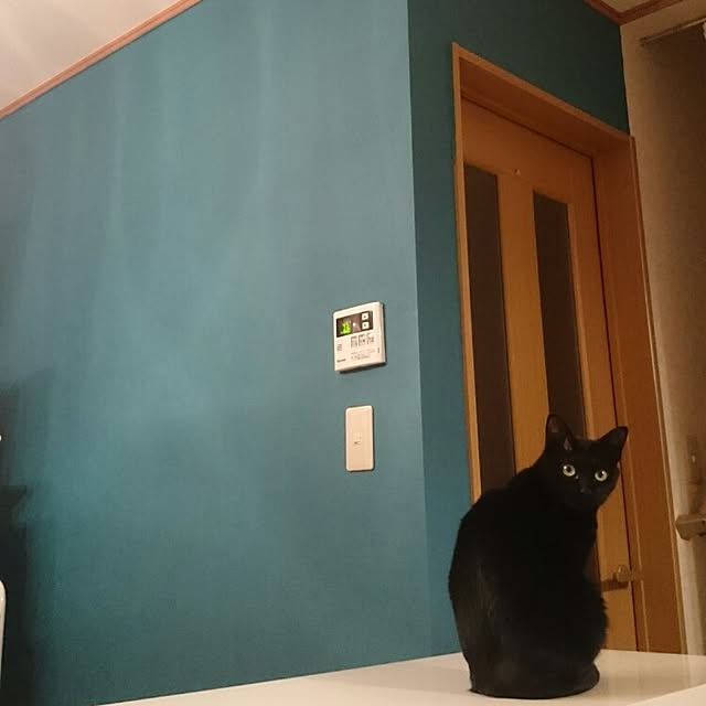 mizさんの実例写真