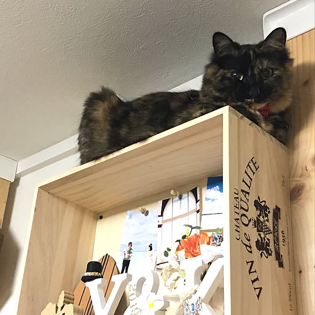 kaoricurryさんの実例写真