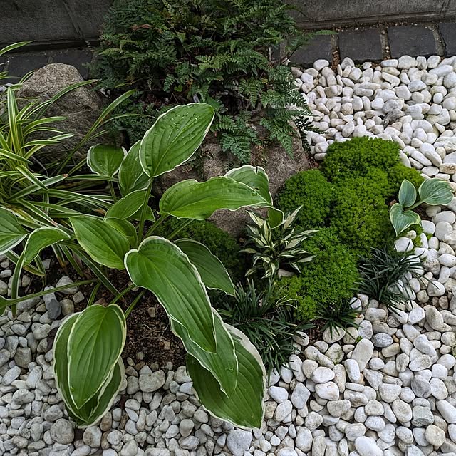 y.kkoさんの部屋