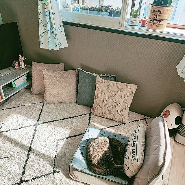 cocomintさんの部屋