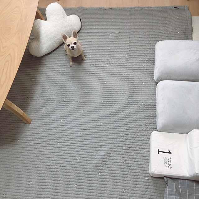 Emiさんの実例写真