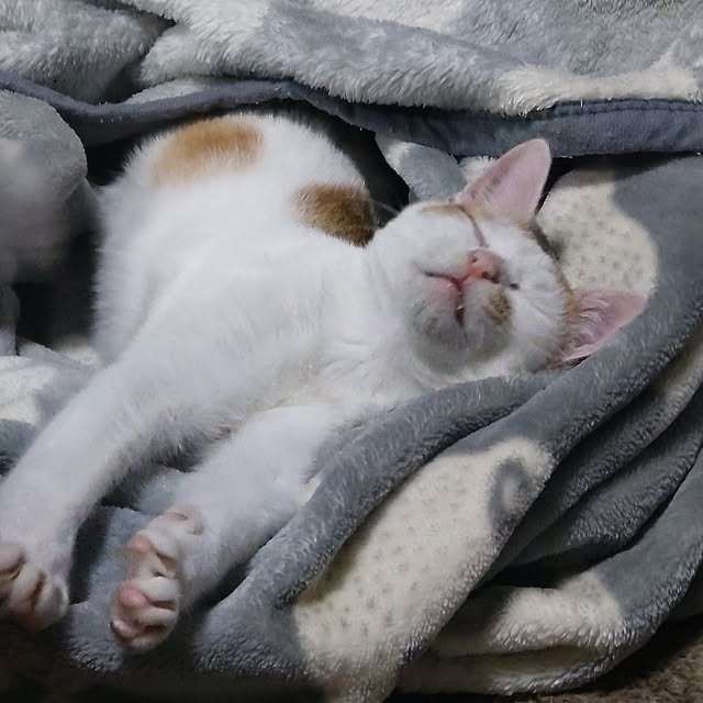 kanaさんの部屋