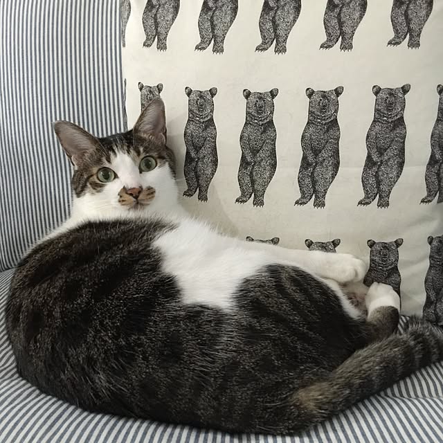 yuchiさんの実例写真