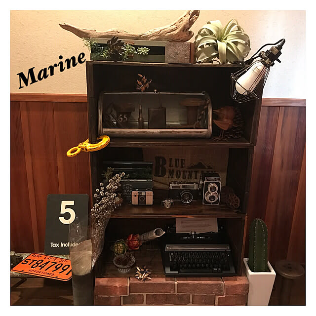 marineさんの実例写真