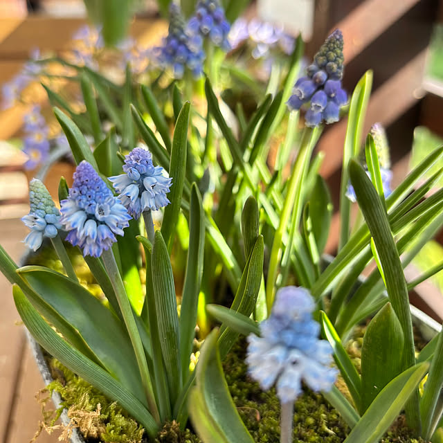 kyoko1124koさんの部屋