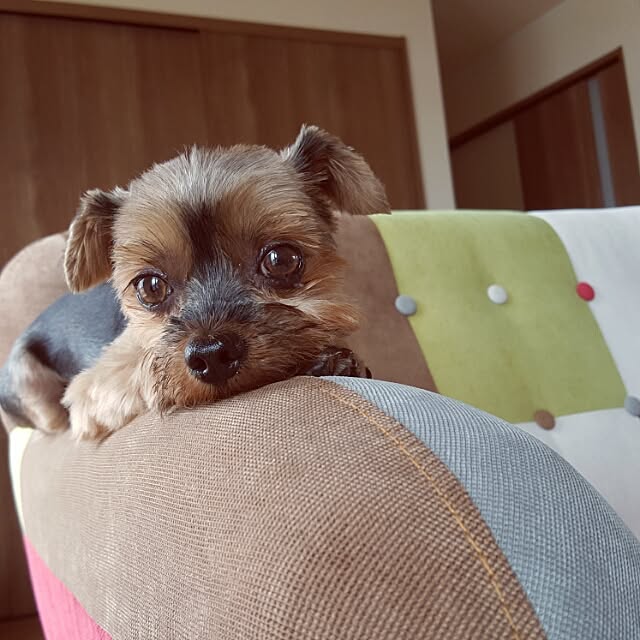 ma_d0_kaさんの実例写真