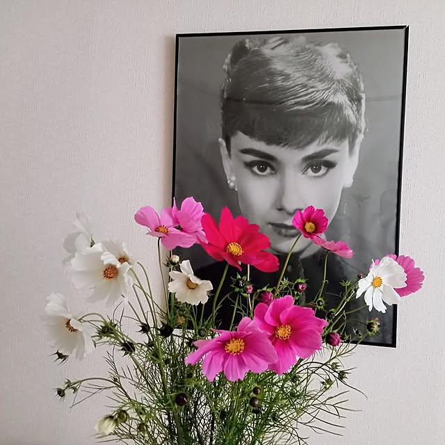 moruさんの実例写真