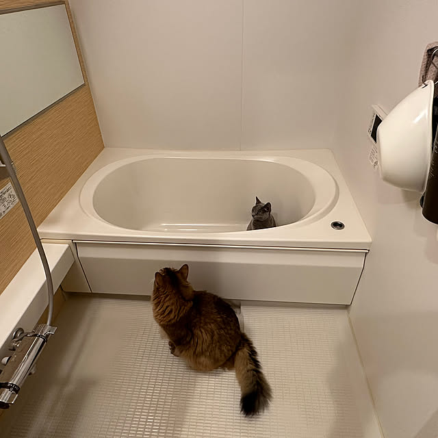 meさんの実例写真