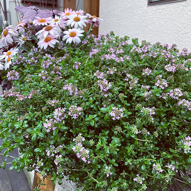 mimichankさんの実例写真