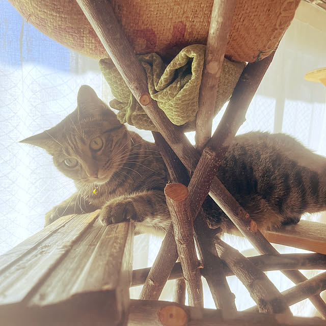 Mさんの実例写真