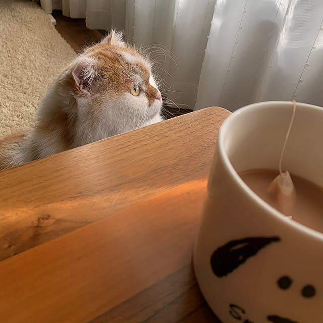 keiさんの部屋