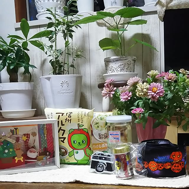 naopyiさんの実例写真